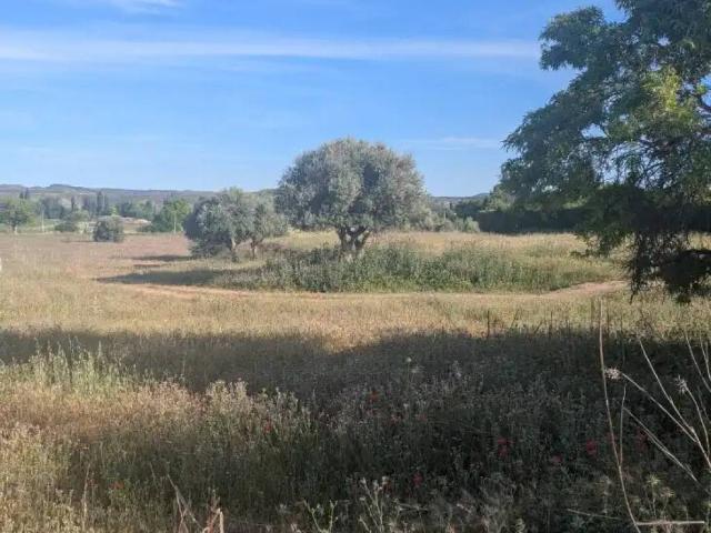 Terreno en venta en Morata De Tajuña, Madrid
