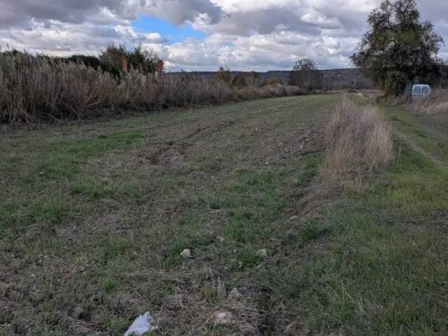 Terreno en venta en Morata De Tajuña, Madrid
