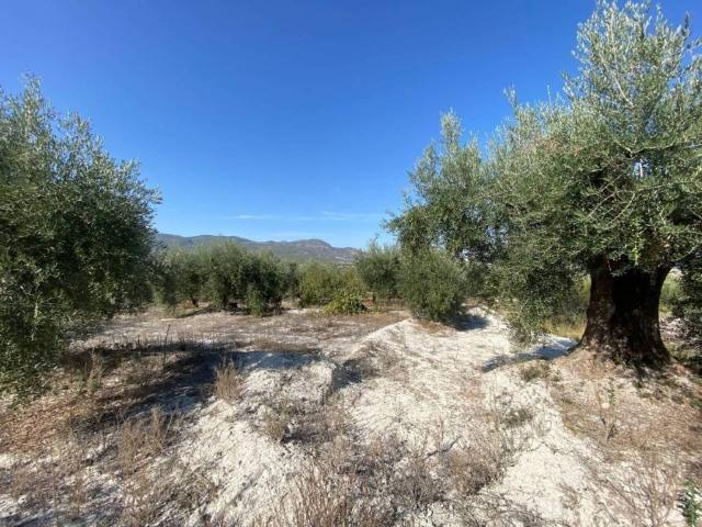 Terreno en venta en Noroeste, Murcia
