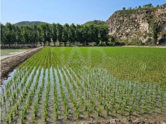 Terreno en venta en Noroeste, Murcia