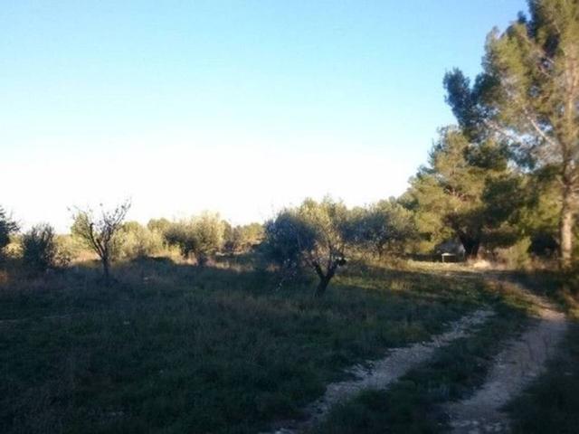 Terreno en venta en Noroeste, Murcia