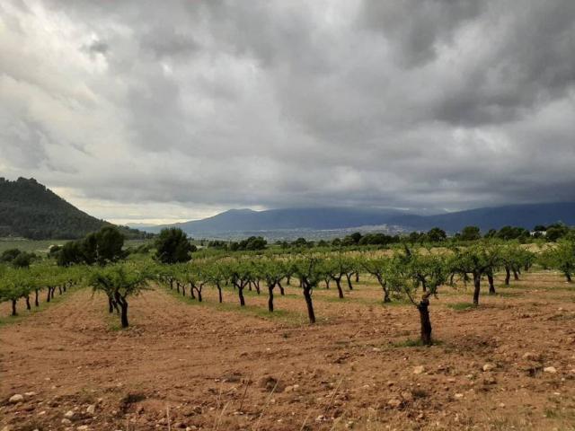 Terreno en venta en Noroeste, Murcia