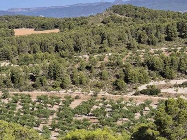Terreno en venta en Noroeste, Murcia