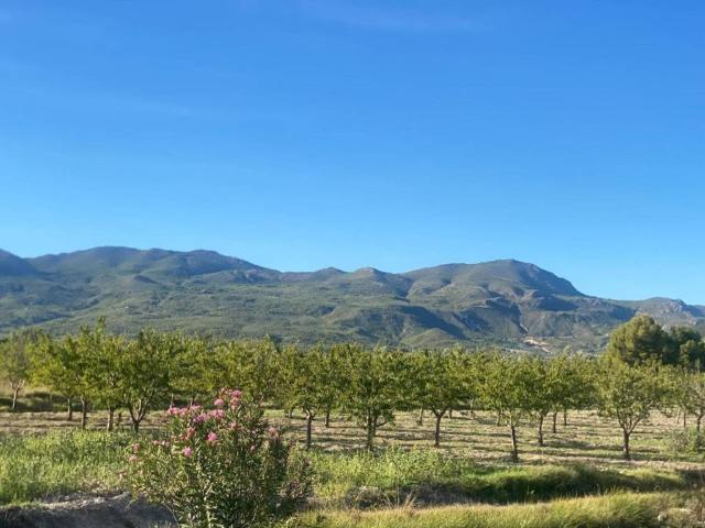 Terreno en venta en Noroeste, Murcia