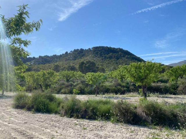 Terreno en venta en Noroeste, Murcia