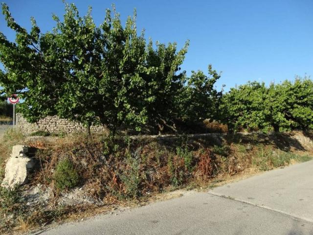 Terreno en venta en Noroeste, Murcia