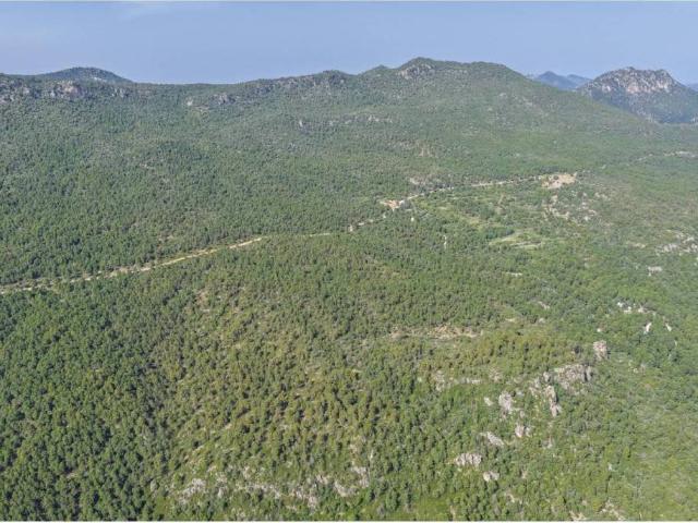 Terreno en venta en Noroeste, Murcia