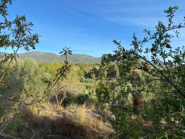 Terreno en venta en Noroeste, Murcia