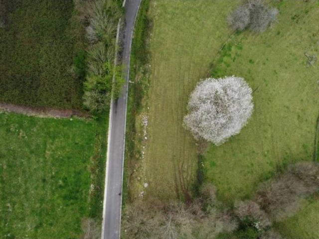 Terreno en venta en Morcín, Asturias
