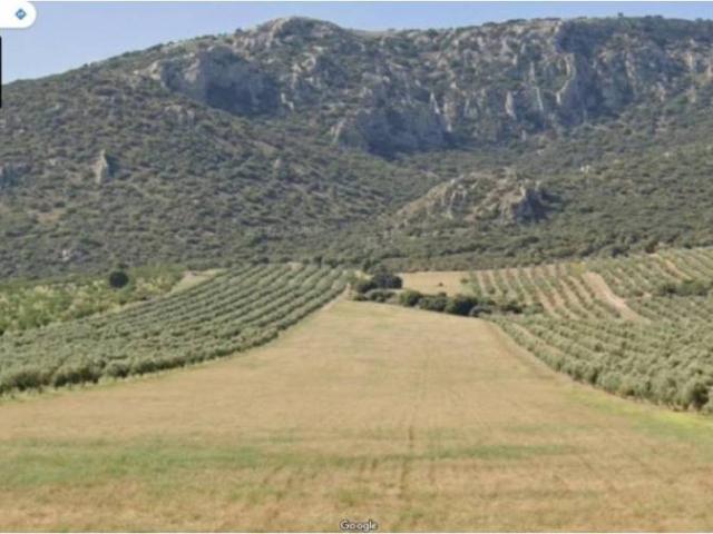 Terreno en venta en Comarca de Los Montes, Andalucía