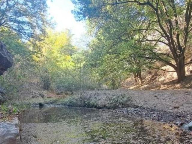 TERRENO EN VENTA EN MORELOS