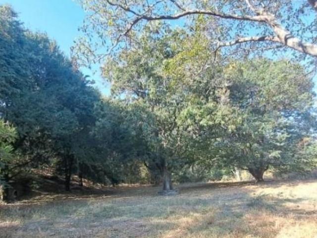 TERRENO EN VENTA EN MORELOS