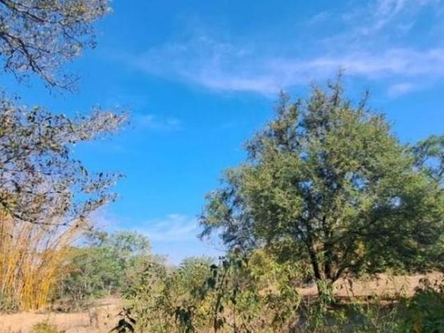 TERRENO EN VENTA EN MORELOS