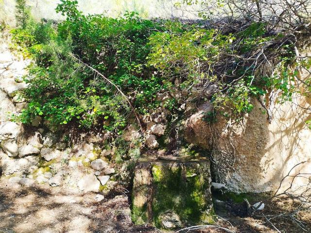 Terreno en venta en Priorat, Catalunya