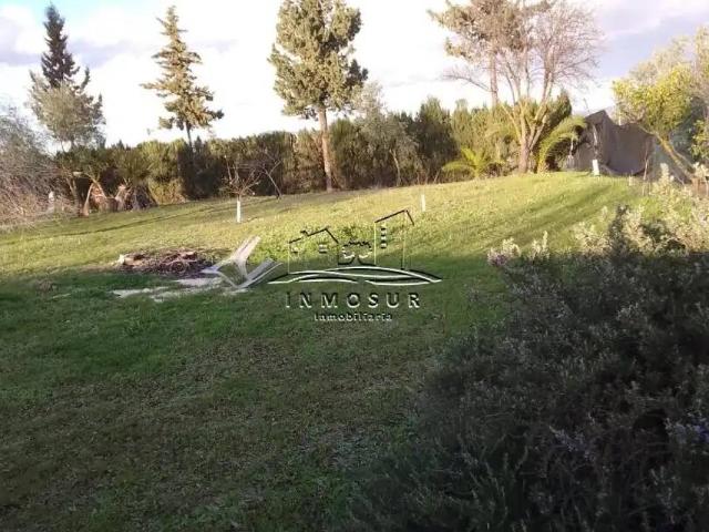 Terreno en venta en Moriles, Andalucía