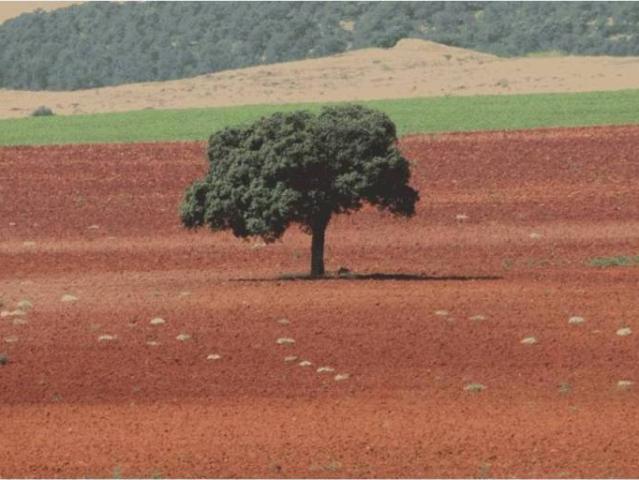Terreno en venta en Moriscos, Castilla y León