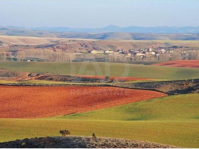 Terreno en venta en Morón De Almazán, Castilla y León