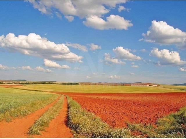 Terreno en venta en Morón De Almazán, Castilla y León