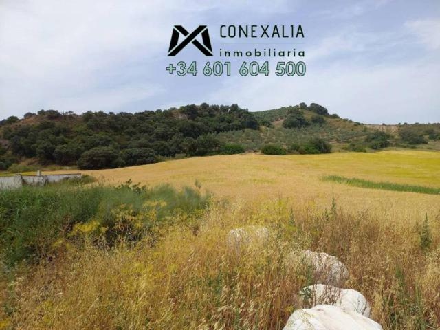 Terreno en venta en Pruna, Andalucía