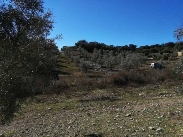 Terreno en venta en Morón De La Frontera, Andalucía