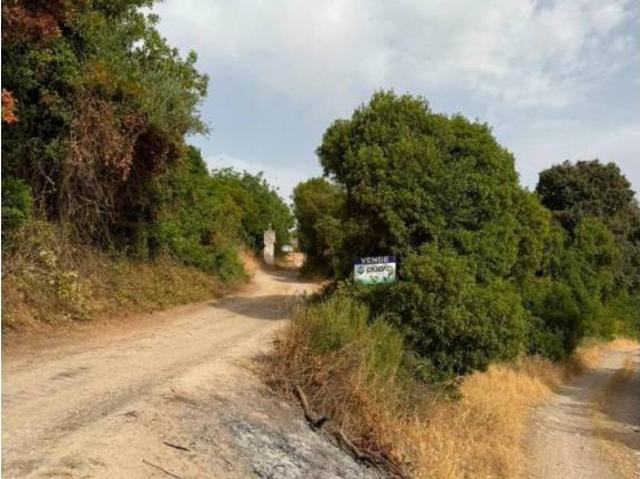Terreno en venta en Morón De La Frontera, Andalucía