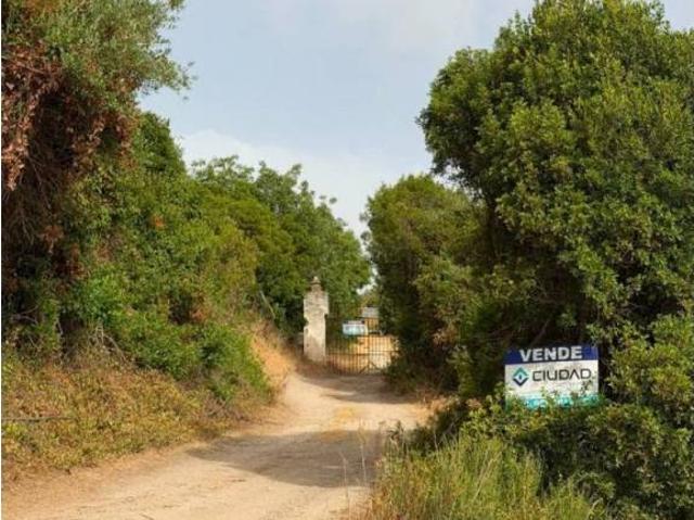 Terreno en venta en Morón De La Frontera, Andalucía