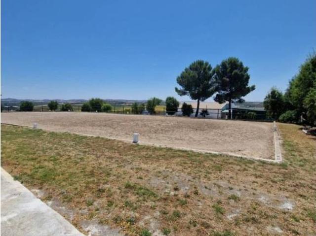 Terreno en venta en Morón De La Frontera, Andalucía