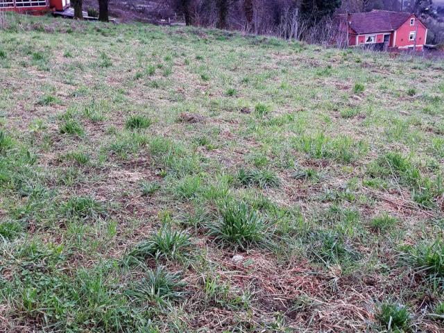 Terreno en venta en Mos, Vigo