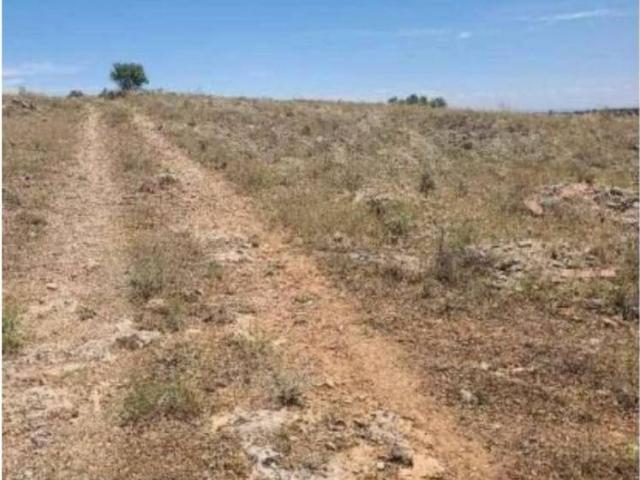Terreno en venta en Mota Del Cuervo