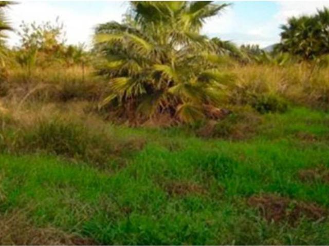 Terreno en venta en El Varadero, Comarca de la Costa Granadina