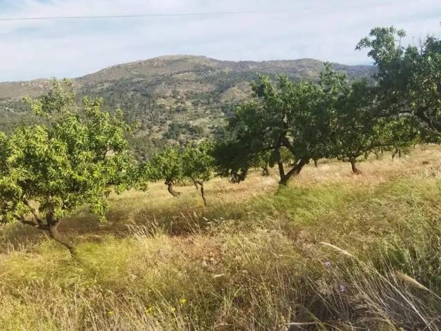 Terreno en venta en Comarca de la Costa Granadina, Andalucía