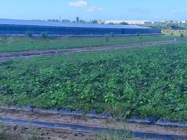 Terreno en venta en Comarca de la Costa Granadina, Andalucía