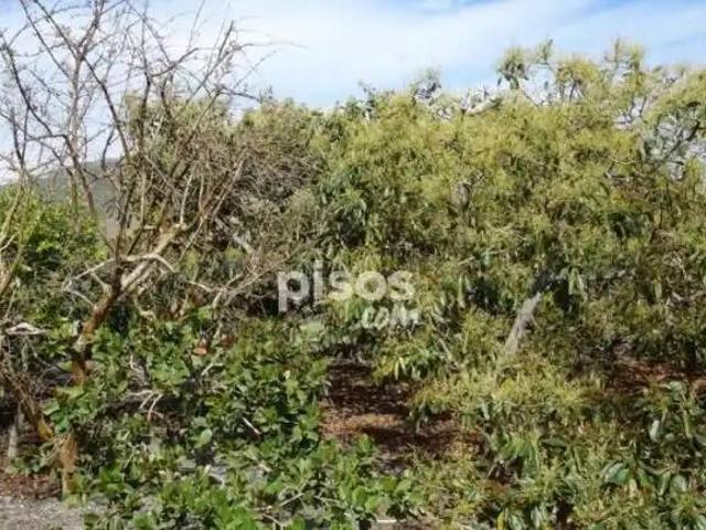 Terreno en venta en Comarca de la Costa Granadina, Andalucía