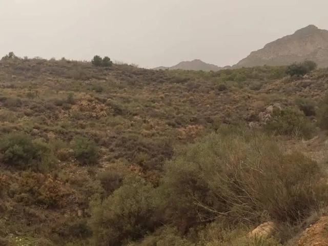 Terreno en venta en Comarca de la Costa Granadina, Andalucía