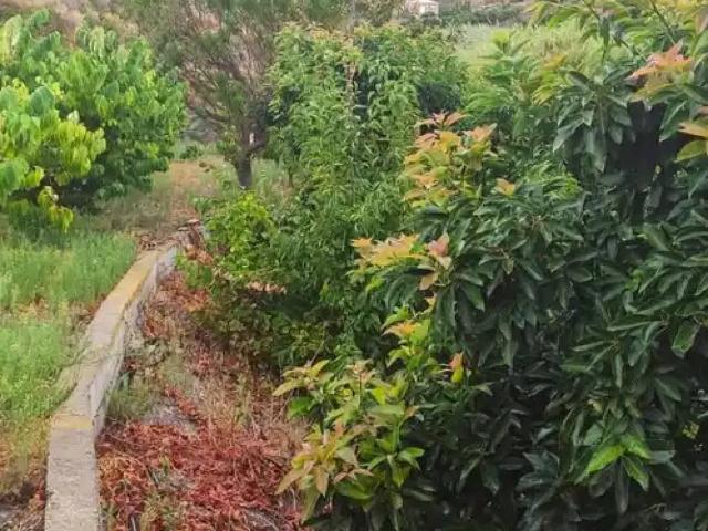 Terreno en venta en Comarca de la Costa Granadina, Andalucía