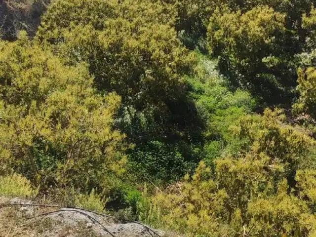 Terreno en venta en Comarca de la Costa Granadina, Andalucía