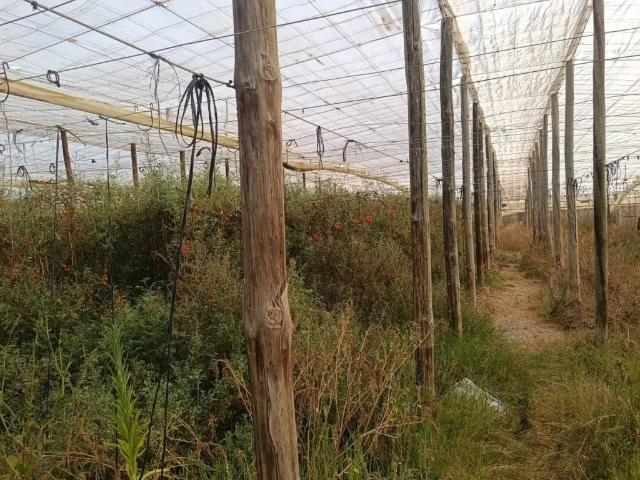Terreno en venta en Comarca de la Costa Granadina, Andalucía