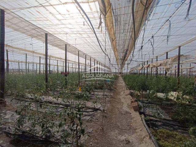 Terreno en venta en Comarca de la Costa Granadina, Andalucía