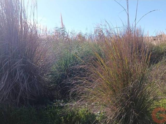 Terreno en venta en Comarca de la Costa Granadina, Andalucía