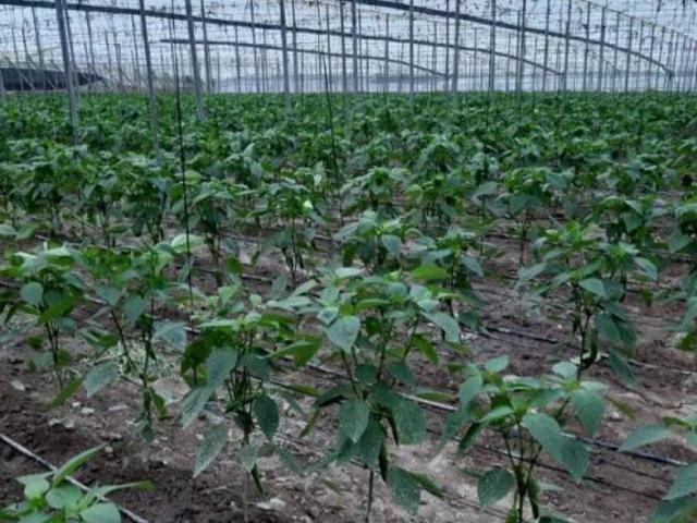 Terreno en venta en Comarca de la Costa Granadina, Andalucía