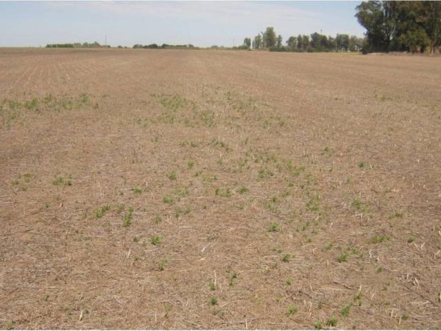 Terreno en venta en Mozárbez, Castilla y León