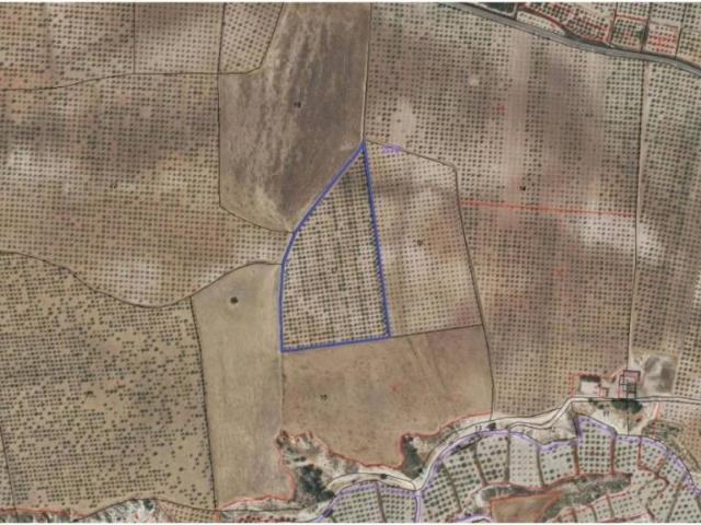 Terreno en venta en Río Mula, Murcia