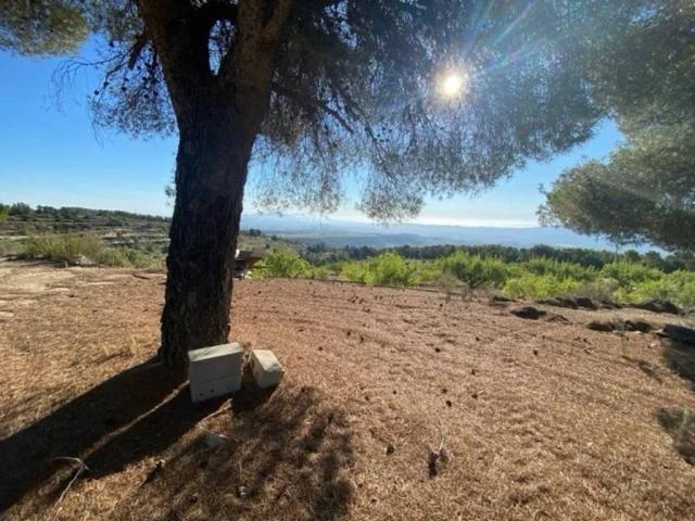 Terreno en venta en Río Mula, Murcia