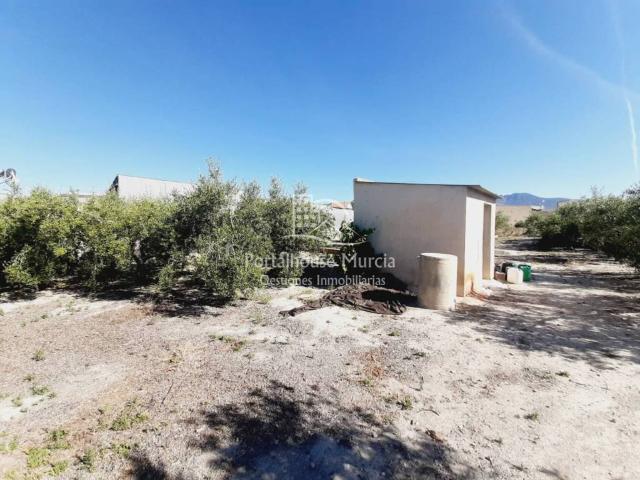 Terreno en venta en Río Mula, Murcia