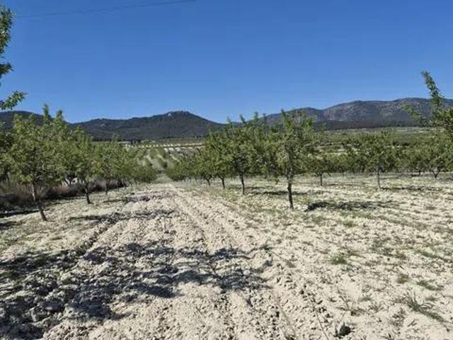 Terreno en venta en Río Mula, Murcia