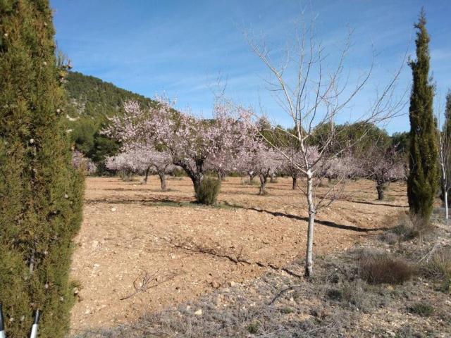 Terreno en venta en Río Mula, Murcia