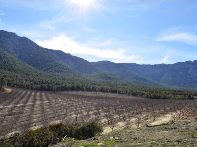 Terreno en venta en Mula, Región de Murcia