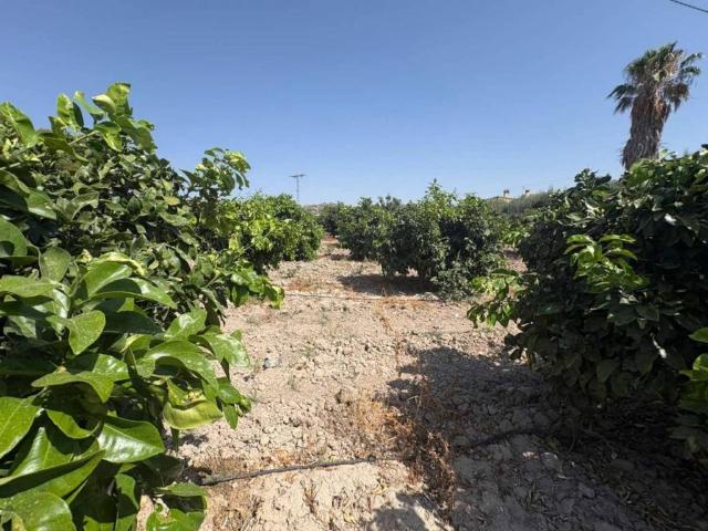 Terreno en venta en Río Mula, Murcia