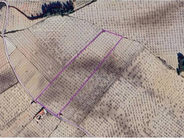 Terreno en venta en Río Mula, Murcia