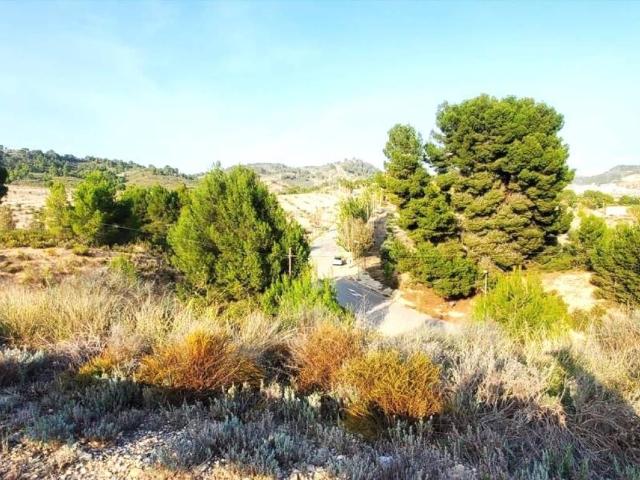 Terreno en venta en Río Mula, Murcia